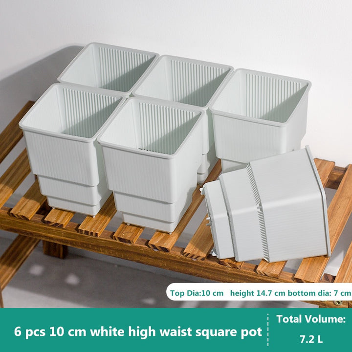 MRoot Controlling Succulent Pot