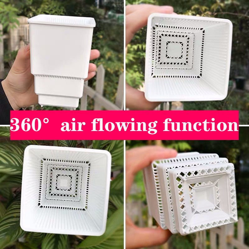 MRoot Controlling Succulent Pot