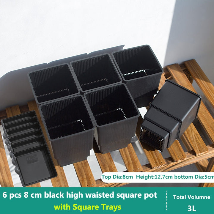 MRoot Controlling Succulent Pot