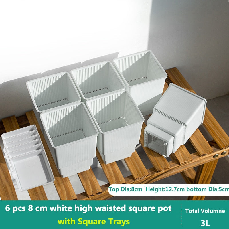 MRoot Controlling Succulent Pot