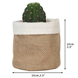 Multi Purpose Foldable Plant Bags
