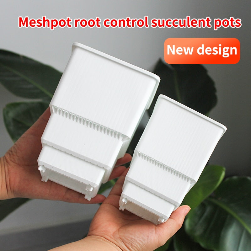 MRoot Controlling Succulent Pot