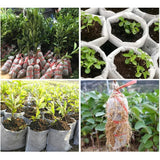 Sustainable Grow Bags