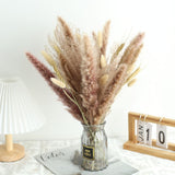Natural Dried Pampa Grass Boho Home Decor