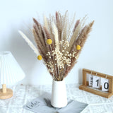 Natural Dried Pampa Grass Boho Home Decor