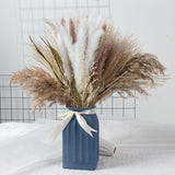Natural Dried Pampa Grass Boho Home Decor