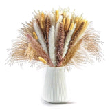 Natural Dried Pampa Grass Boho Home Decor