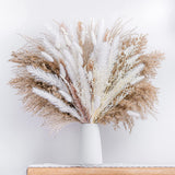 Natural Dried Pampa Grass Boho Home Decor