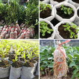 Eco-Friendly Planting Solution