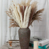 Natural Dried Pampa Grass Boho Home Decor