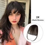Air Bangs Human Hair Clip