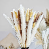 Natural Dried Pampa Grass Boho Home Decor