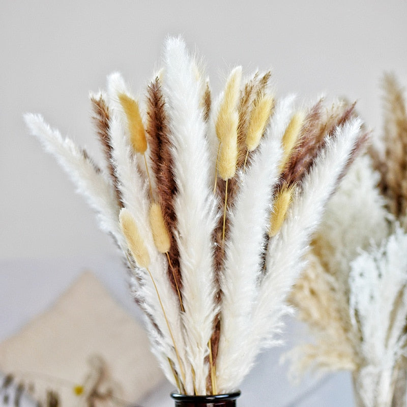 Natural Dried Pampa Grass Boho Home Decor