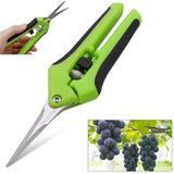 Precision Pruning 6.5-Inch Garden Shears