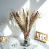 Natural Dried Pampa Grass Boho Home Decor