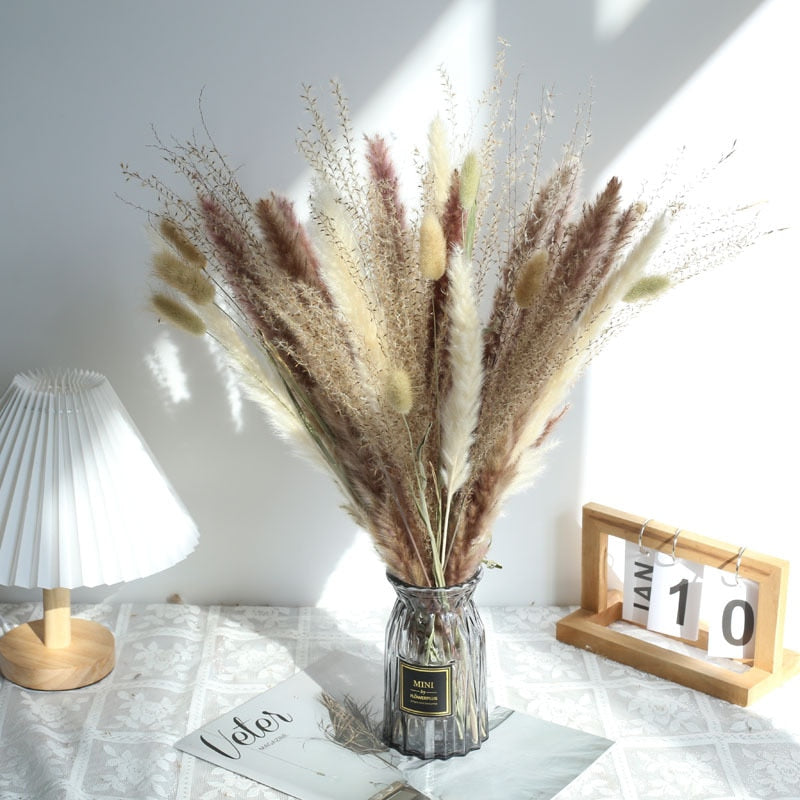 Natural Dried Pampa Grass Boho Home Decor