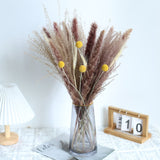 Natural Dried Pampa Grass Boho Home Decor