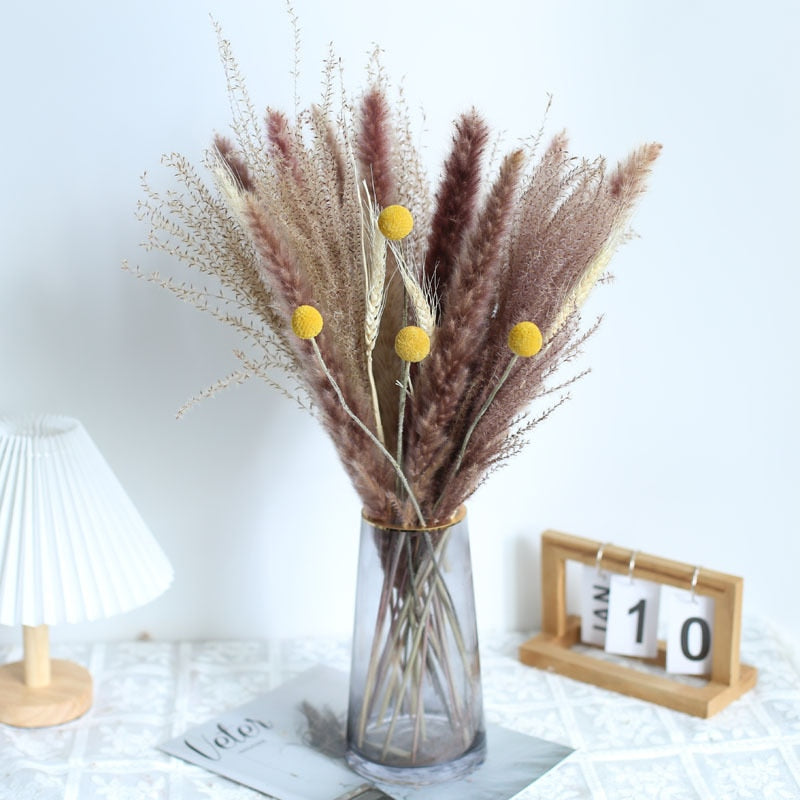 Natural Dried Pampa Grass Boho Home Decor