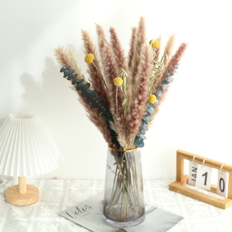 Natural Dried Pampa Grass Boho Home Decor