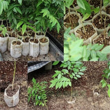 Sustainable Grow Bags