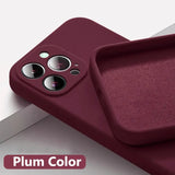 Official Silicone Case for iPhone Series