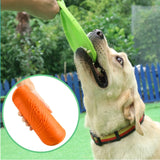 Flying Disk  Training Pet Toy