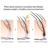 Black Seed Essential Oil