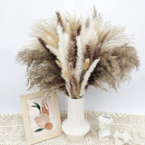 Natural Dried Pampa Grass Boho Home Decor