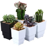 MRoot Controlling Succulent Pot