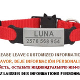 Personalized ID Tag Cat Collar Bell Engraving Safety Breakaway Small Dog Nylon Adjustable for Puppy Kittens Necklace