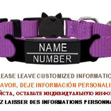 Personalized ID Tag Cat Collar Bell Engraving Safety Breakaway Small Dog Nylon Adjustable for Puppy Kittens Necklace