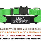 Personalized ID Tag Cat Collar Bell Engraving Safety Breakaway Small Dog Nylon Adjustable for Puppy Kittens Necklace