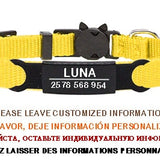 Personalized ID Tag Cat Collar Bell Engraving Safety Breakaway Small Dog Nylon Adjustable for Puppy Kittens Necklace