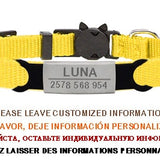 Personalized ID Tag Cat Collar Bell Engraving Safety Breakaway Small Dog Nylon Adjustable for Puppy Kittens Necklace