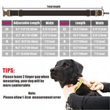 Personalized Dog Collar Customized Pet Collars Free Engraving ID Nameplate Tag Pet Accessory Natural Puppy Collars Leash Set