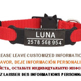 Personalized ID Tag Cat Collar Bell Engraving Safety Breakaway Small Dog Nylon Adjustable for Puppy Kittens Necklace
