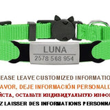 Personalized ID Tag Cat Collar Bell Engraving Safety Breakaway Small Dog Nylon Adjustable for Puppy Kittens Necklace