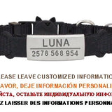 Personalized ID Tag Cat Collar Bell Engraving Safety Breakaway Small Dog Nylon Adjustable for Puppy Kittens Necklace