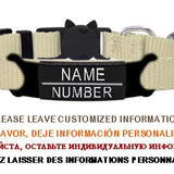 Personalized ID Tag Cat Collar Bell Engraving Safety Breakaway Small Dog Nylon Adjustable for Puppy Kittens Necklace