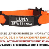 Personalized ID Tag Cat Collar Bell Engraving Safety Breakaway Small Dog Nylon Adjustable for Puppy Kittens Necklace