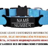 Personalized ID Tag Cat Collar Bell Engraving Safety Breakaway Small Dog Nylon Adjustable for Puppy Kittens Necklace