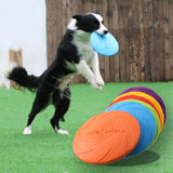 Flying Disk  Training Pet Toy