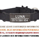 Personalized ID Tag Cat Collar Bell Engraving Safety Breakaway Small Dog Nylon Adjustable for Puppy Kittens Necklace
