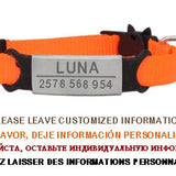 Personalized ID Tag Cat Collar Bell Engraving Safety Breakaway Small Dog Nylon Adjustable for Puppy Kittens Necklace